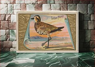 Πίνακας, Golden Plover, from the Game Birds series (N13) for Allen & Ginter Cigarettes Brands