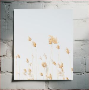 Πίνακας, Golden Reeds Χρυσά Καλάμια