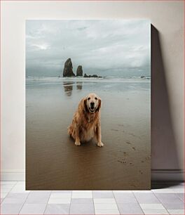 Πίνακας, Golden Retriever at the Beach Γκόλντεν Ριτρίβερ στην παραλία