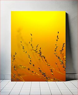 Πίνακας, Golden Sunset Over Plants Χρυσό ηλιοβασίλεμα πάνω από τα φυτά