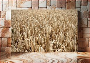 Πίνακας, Golden Wheat Field Χρυσό Σιτάρι