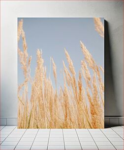 Πίνακας, Golden Wheat Field Χρυσό Σιτάρι