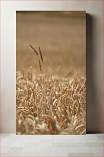 Πίνακας, Golden Wheat Field Χρυσό Σιτάρι