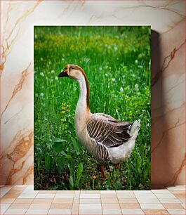 Πίνακας, Goose in a Meadow Χήνα σε λιβάδι