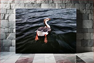 Πίνακας, Goose Swimming in the Lake Χήνα που κολυμπά στη λίμνη