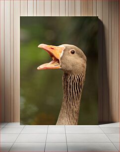 Πίνακας, Goose with Open Beak Χήνα με ανοιχτό ράμφος