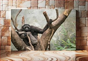 Πίνακας, Gorilla on Tree Γορίλας στο δέντρο