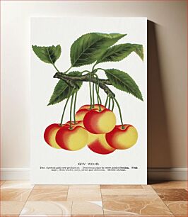 Πίνακας, Gov Wood cherry lithograph