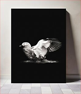 Πίνακας, Graceful Bird in Black and White Χαριτωμένο πουλί σε ασπρόμαυρο