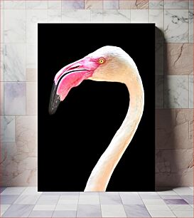 Πίνακας, Graceful Flamingo Χαριτωμένο Flamingo