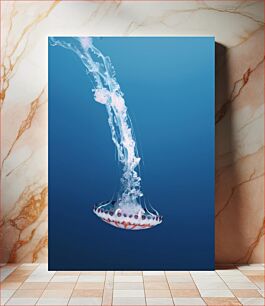 Πίνακας, Graceful Jellyfish in the Deep Sea Χαριτωμένη μέδουσα στη βαθιά θάλασσα