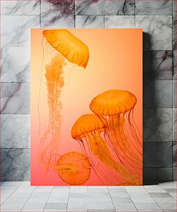 Πίνακας, Graceful Jellyfish Χαριτωμένη μέδουσα