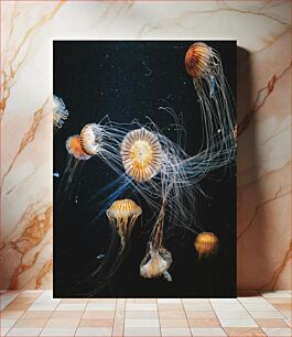 Πίνακας, Graceful Jellyfish Χαριτωμένη μέδουσα