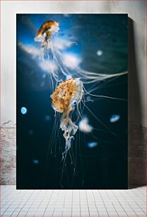 Πίνακας, Graceful Jellyfish Underwater Χαριτωμένη Μέδουσα Υποβρύχια