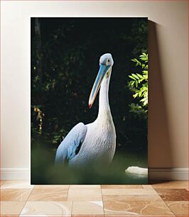 Πίνακας, Graceful Pelican Χαριτωμένος πελεκάνος