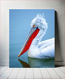 Πίνακας, Graceful Pelican on Water Χαριτωμένος πελεκάνος στο νερό