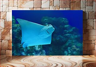 Πίνακας, Graceful Stingray Underwater Χαριτωμένο Stingray Υποβρύχιο