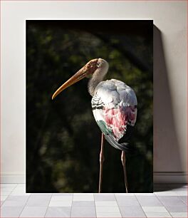 Πίνακας, Graceful Stork in the Wild Χαριτωμένος πελαργός στην άγρια ​​φύση