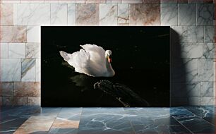 Πίνακας, Graceful Swan Χαριτωμένος Κύκνος