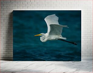 Πίνακας, Graceful White Bird in Flight Χαριτωμένο λευκό πουλί σε πτήση