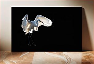 Πίνακας, Graceful White Egret in Flight Χαριτωμένος Λευκοτσικνιάς κατά την πτήση