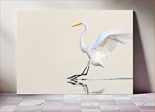 Πίνακας, Graceful White Egret Χαριτωμένος Ασπροτσικνιάς