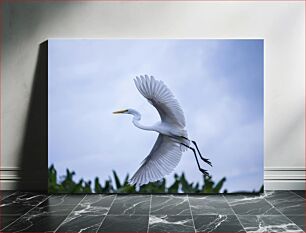 Πίνακας, Graceful White Heron in Flight Χαριτωμένος λευκός ερωδιός σε πτήση