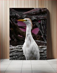 Πίνακας, Graceful White Heron Χαριτωμένος Λευκός Ερωδιός