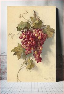 Πίνακας, Grapes Against White Wall (1883) by Edwin Deakin