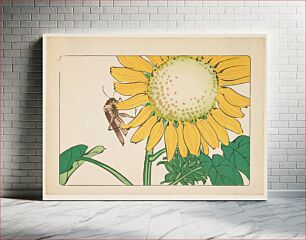 Πίνακας, (Grasshopper and sunflower)