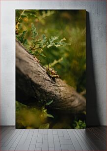 Πίνακας, Grasshopper on a Tree Branch Ακρίδα σε κλαδί δέντρου