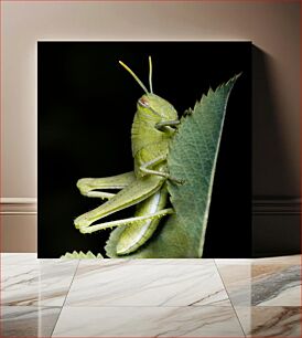 Πίνακας, Grasshopper on Leaf Grasshopper on Leaf