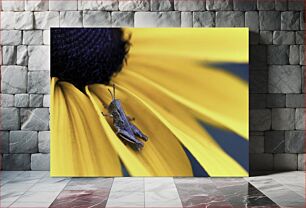 Πίνακας, Grasshopper on Yellow Flower Ακρίδα σε κίτρινο λουλούδι