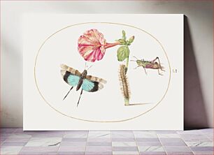 Πίνακας, Grasshoppers and a Caterpillar with a Four O'Clock Flower (1575–1580) by Joris Hoefnagel