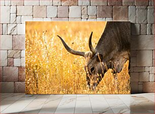 Πίνακας, Grazing Bull in Golden Field Βόσκοντας Ταύρο στο Χρυσό Πεδίο