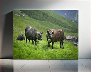Πίνακας, Grazing Cattle in the Countryside Βόσκουν Βοοειδή στην Εξοχή