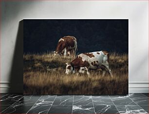 Πίνακας, Grazing Cows in Meadow Αγελάδες που βόσκουν στο Λιβάδι