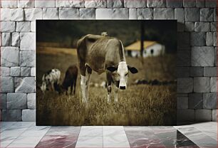Πίνακας, Grazing Cows in the Field Αγελάδες που βόσκουν στο χωράφι