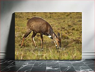 Πίνακας, Grazing Deer in Field Βόσκουν ελάφια στο χωράφι