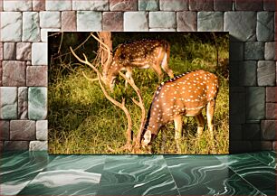 Πίνακας, Grazing Deer in the Wild Βόσκουν ελάφια στην άγρια ​​φύση