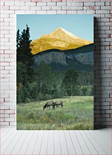 Πίνακας, Grazing Elk in Mountain Valley Βόσκουν άλκες στην ορεινή κοιλάδα