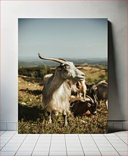 Πίνακας, Grazing Goats on a Hillside Βόσκουν κατσίκες σε μια πλαγιά