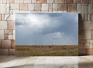 Πίνακας, Grazing Herd on a Cloudy Day Κοπάδι που βόσκει μια συννεφιασμένη μέρα