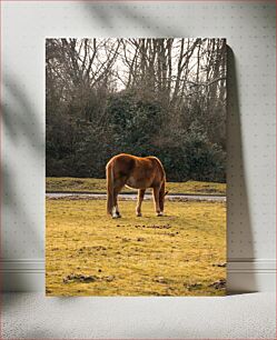 Πίνακας, Grazing Horse in a Forest Άλογο που βόσκει σε ένα δάσος