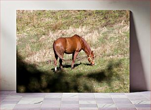 Πίνακας, Grazing Horse in Meadow Άλογο που βόσκει στο Λιβάδι