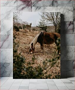 Πίνακας, Grazing Horse in Nature Άλογο που βόσκει στη φύση