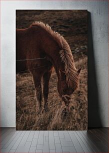 Πίνακας, Grazing Horse in the Field Άλογο που βόσκει στο χωράφι