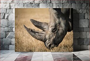 Πίνακας, Grazing Rhino in the Wild Ρινόκερος που βόσκει στην άγρια ​​φύση