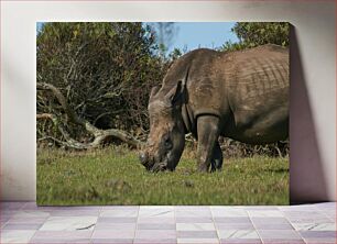 Πίνακας, Grazing Rhinoceros in the Wild Ρινόκερος που βόσκει στην άγρια ​​φύση