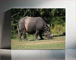 Πίνακας, Grazing Rhinoceros Ρινόκερος που βόσκει